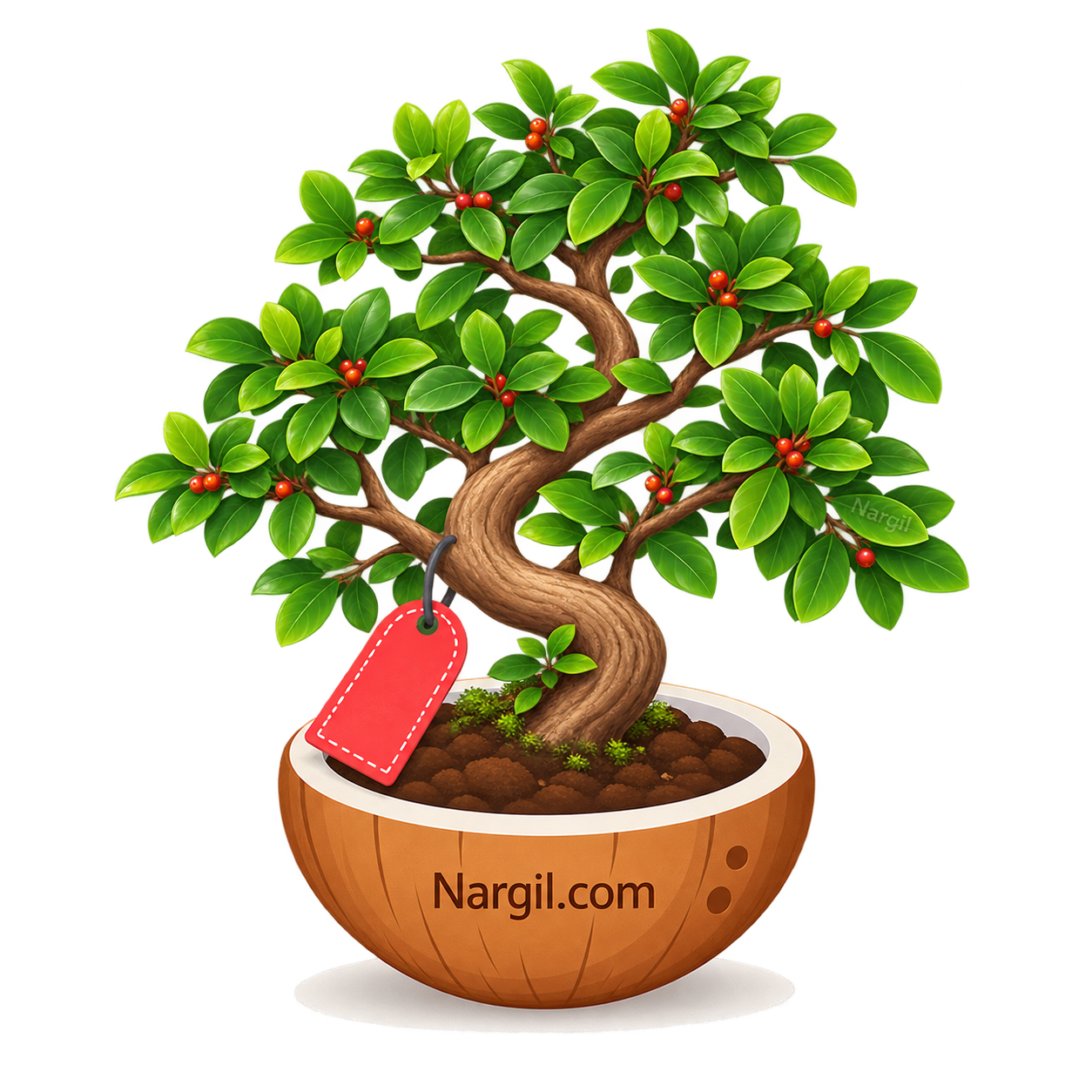 Nargil_Sageretia Theezans Bonsai